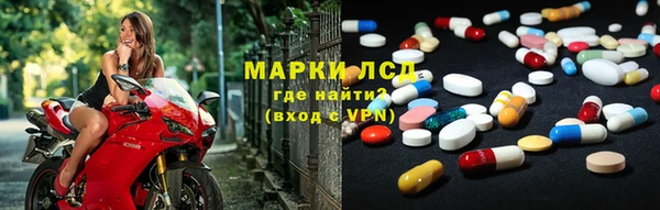 сатива Аркадак