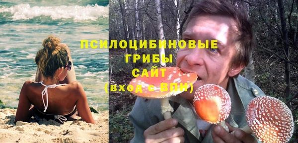 ешки Алексин